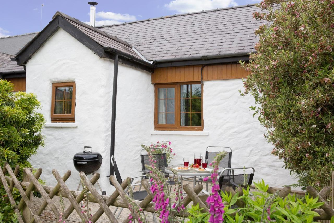 Croft Farm & Celtic Cottages 卡迪根 外观 照片