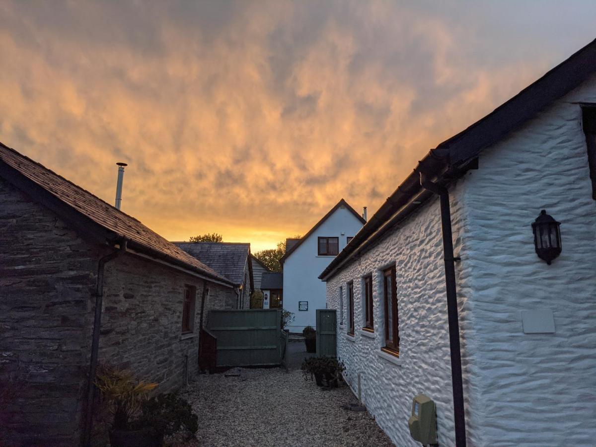 Croft Farm & Celtic Cottages 卡迪根 外观 照片