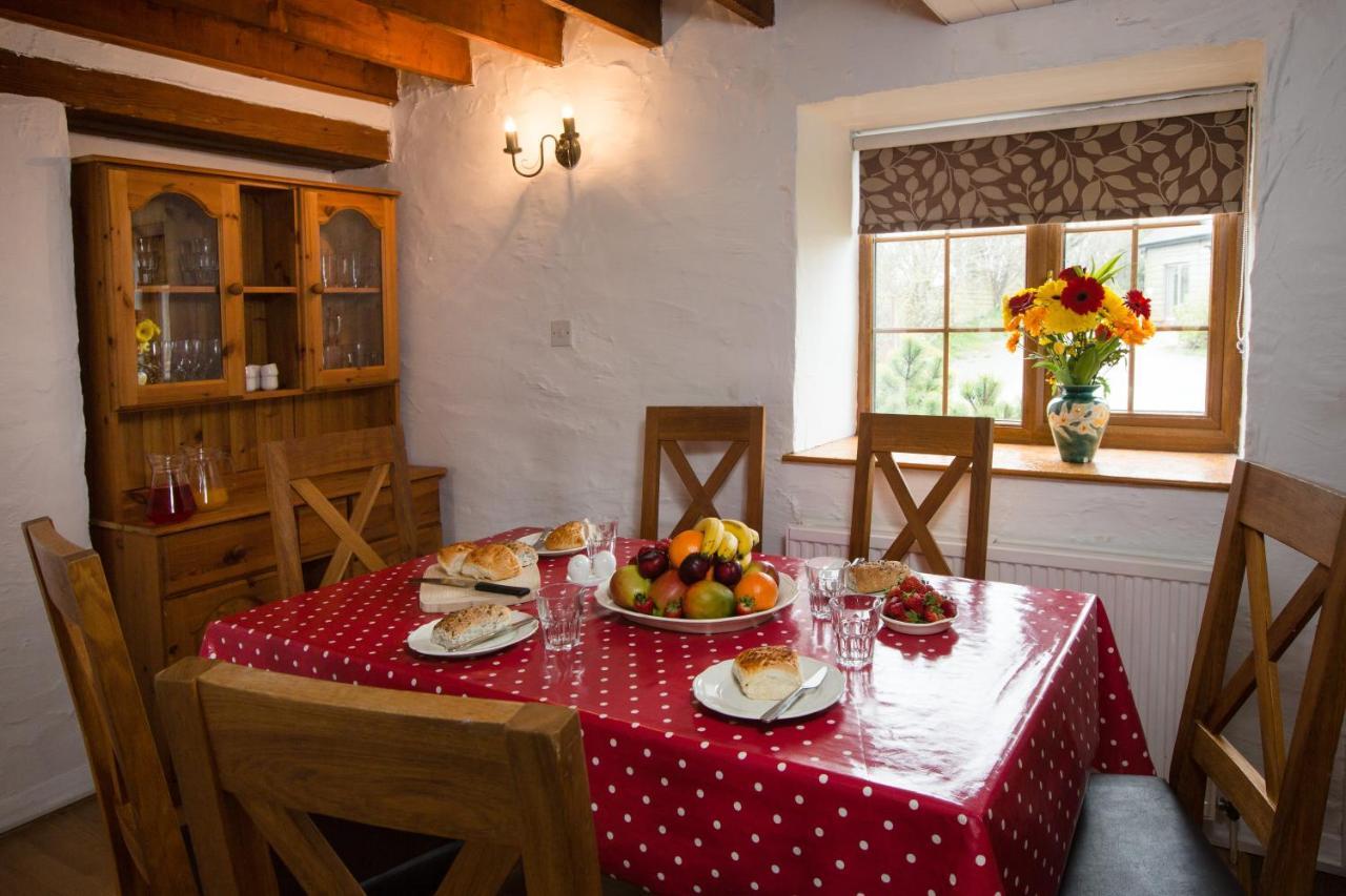 Croft Farm & Celtic Cottages 卡迪根 外观 照片