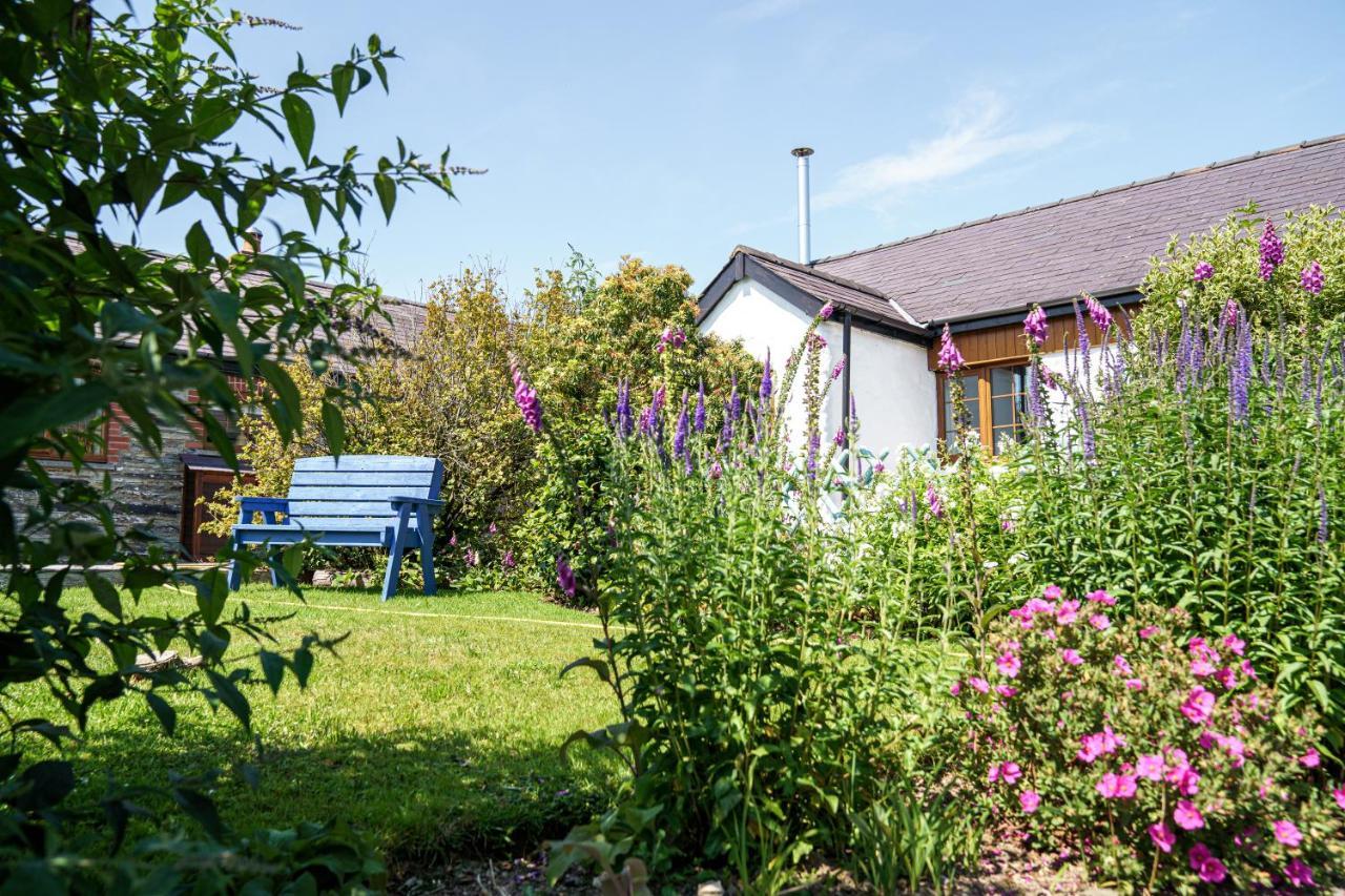 Croft Farm & Celtic Cottages 卡迪根 外观 照片